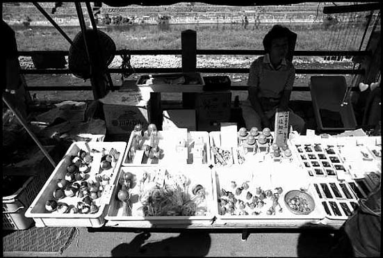 ����ī��